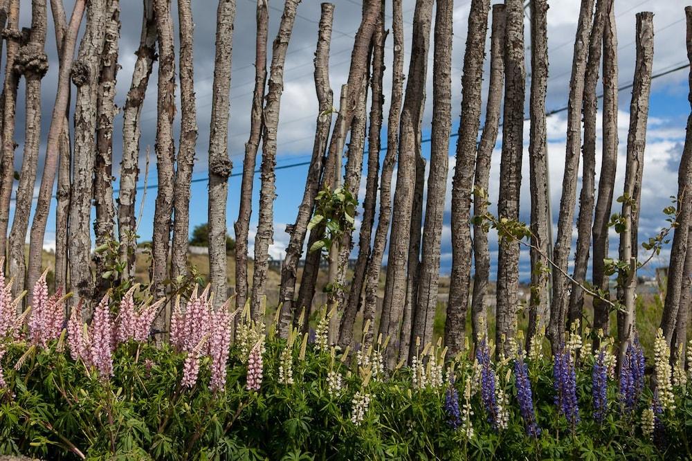 Hotel Altiplanico Puerto Natales Dış mekan fotoğraf