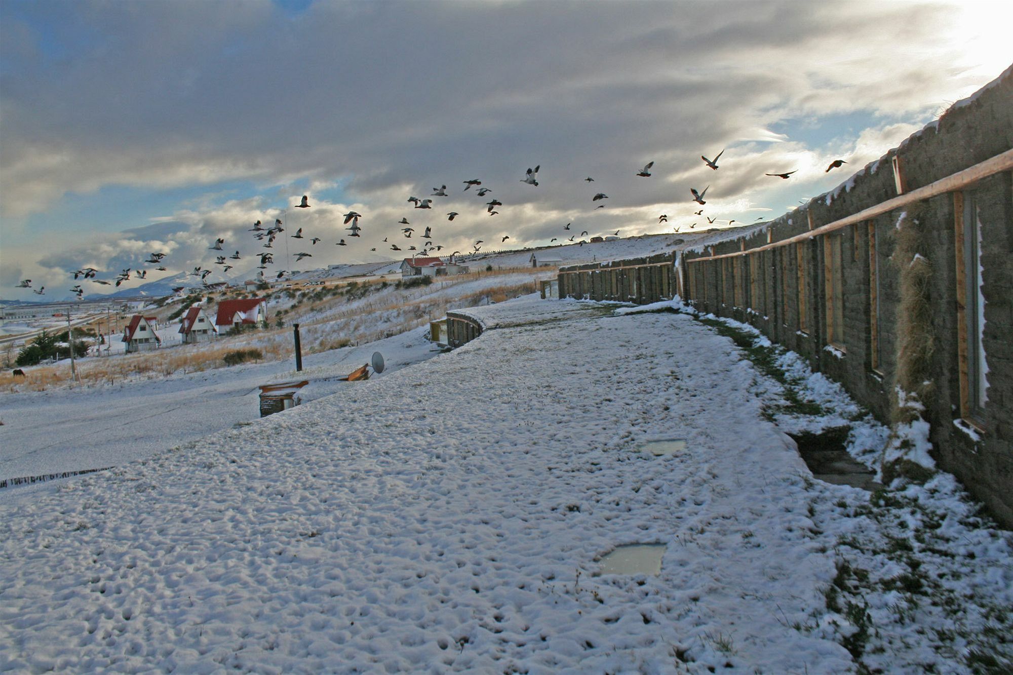 Hotel Altiplanico Puerto Natales Dış mekan fotoğraf
